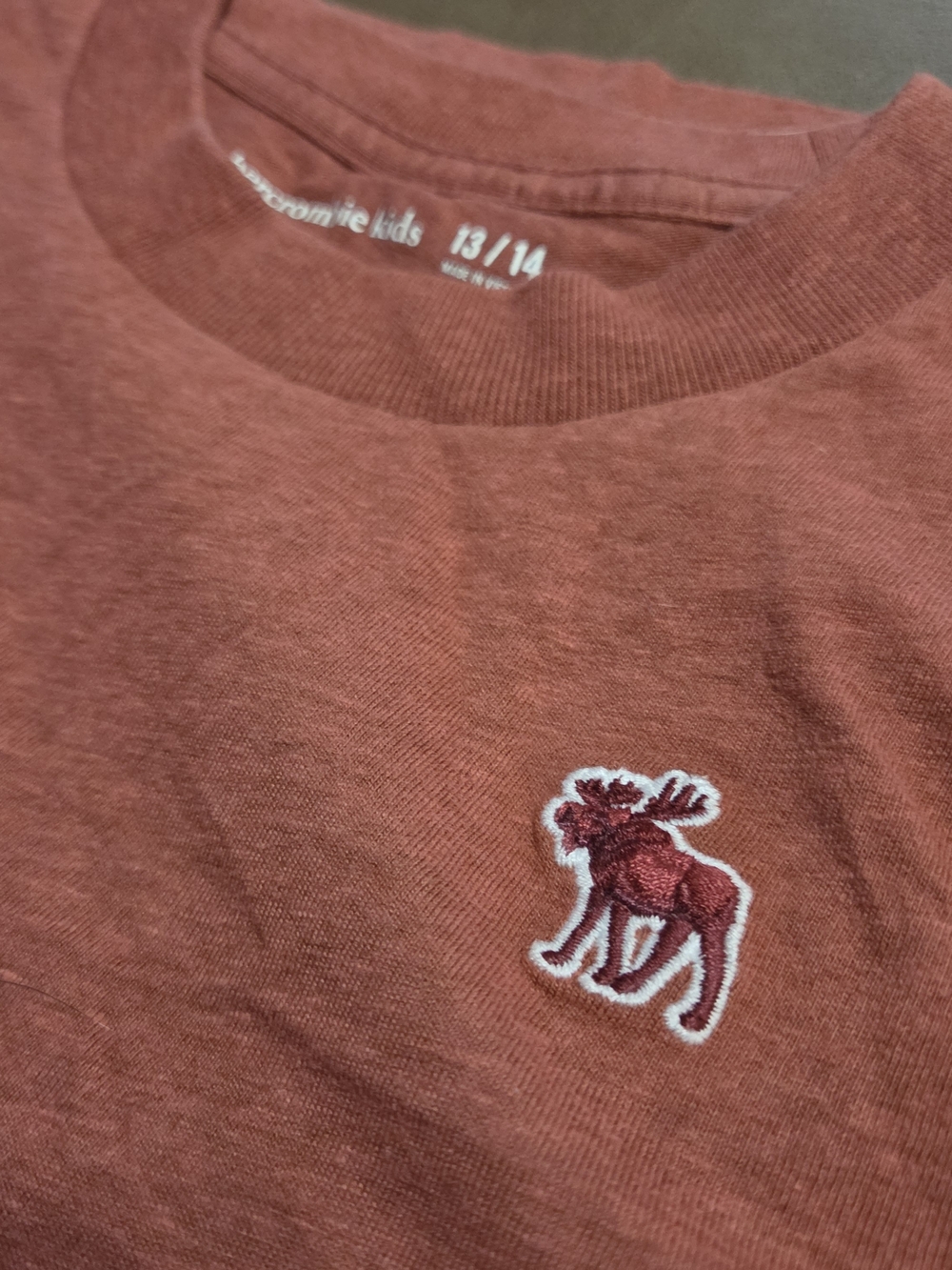 Abercrombie & Fitch Kids Rust Embroidered Moose Tee